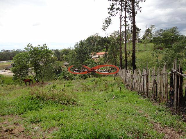 Terreno à venda, 1350m² - Foto 1