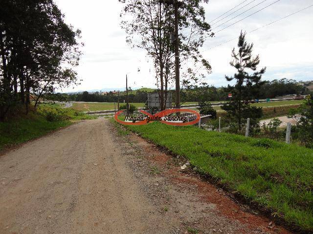 Terreno à venda, 1350m² - Foto 6