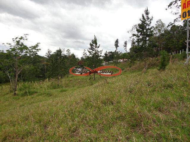 Terreno à venda, 1350m² - Foto 9